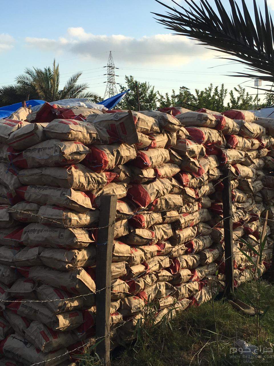 فحم حمضيات للمشاوي والأركيلة