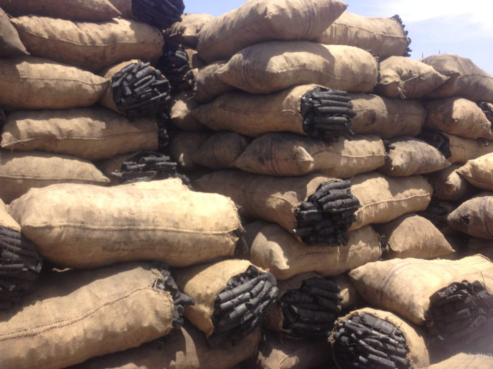 شركات الفحم في السودان